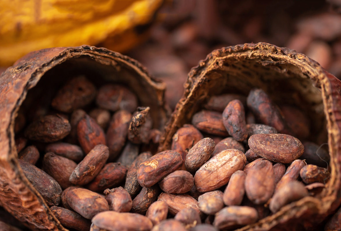 mexico-en-el-numero-21-de-produccion-de-cacao